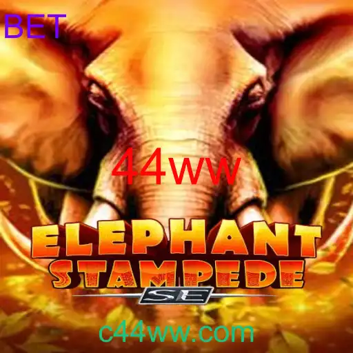 Descubra Tudo Sobre ElephantStampedeSE